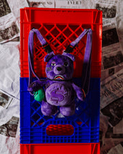 ALL SYSTEMS GO BEAR CUB BACKPACK